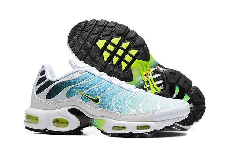 Nike Air Max Plus Dusty Cactus