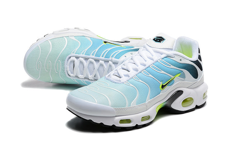 Nike Air Max Plus Dusty Cactus